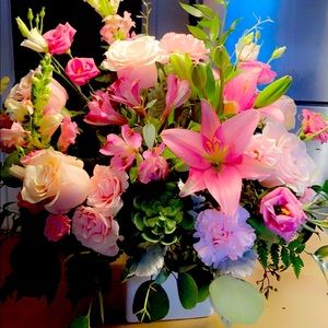 Meet your Posher, Jess